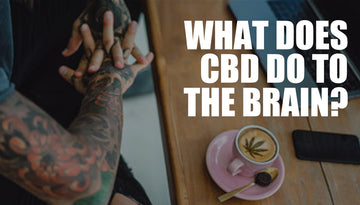 What does CBD do to the brain?